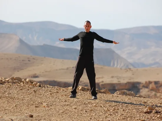 מתוך ה-DVD