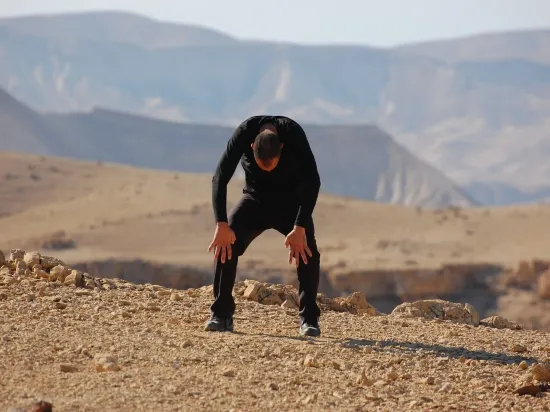 מתוך ה-DVD