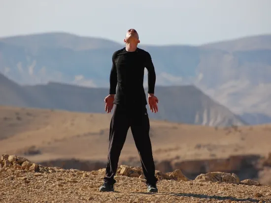 מתוך ה-DVD